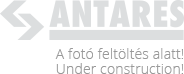 Helytartó